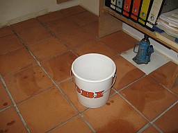 30.01.2018 IMG_4108.jpg