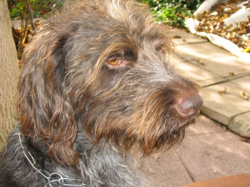 Speicher Bodenisolierung