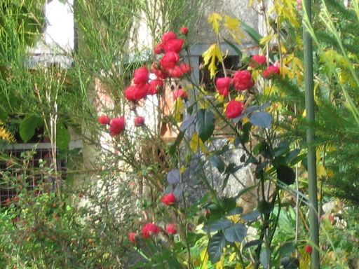 Speicher Bodenisolierung