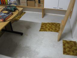 04.01.2018 IMG_3936.jpg