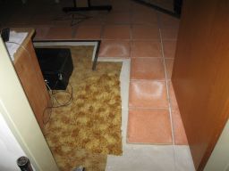 22.01.2018 IMG_4062.jpg