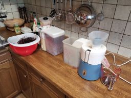 Garten Holunder